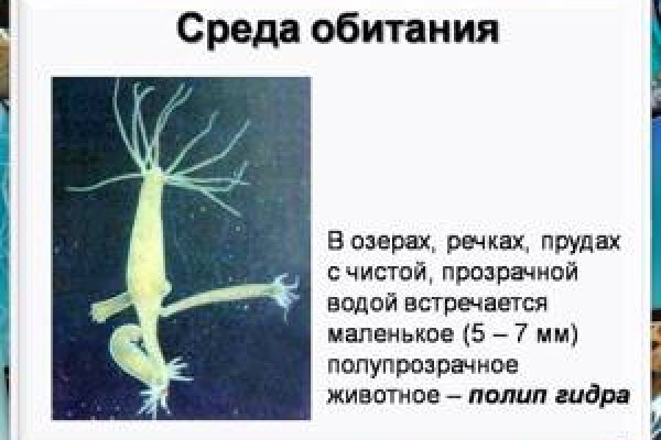 Kraken магазин интернет