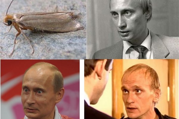 Кракен гидра даркнет